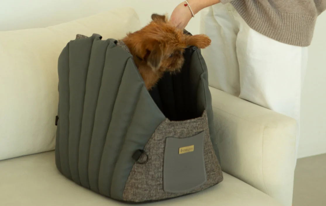 Dog Carrier Purse for Biewer Terrier