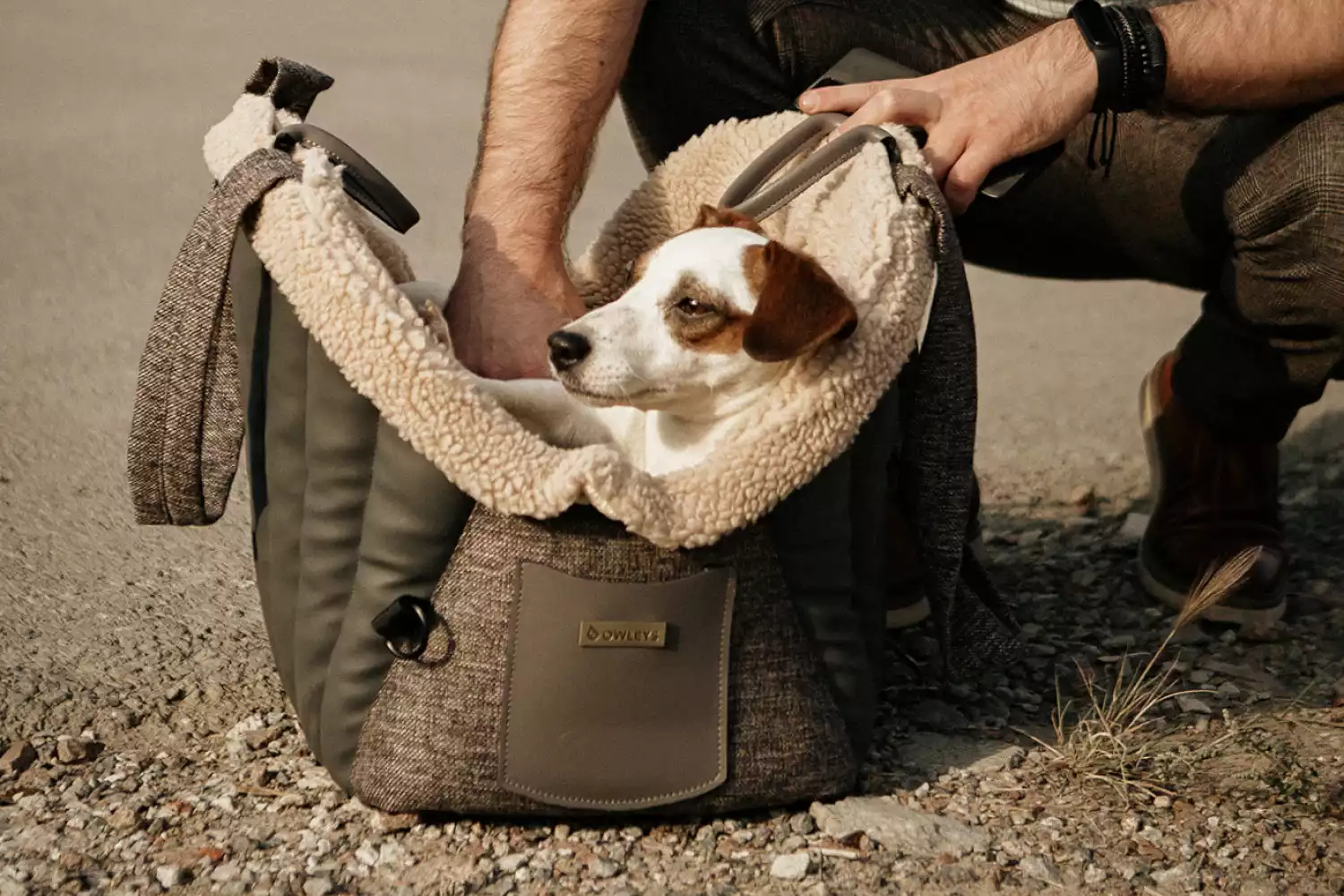 Dog Carrier Purse for Biewer Terrier