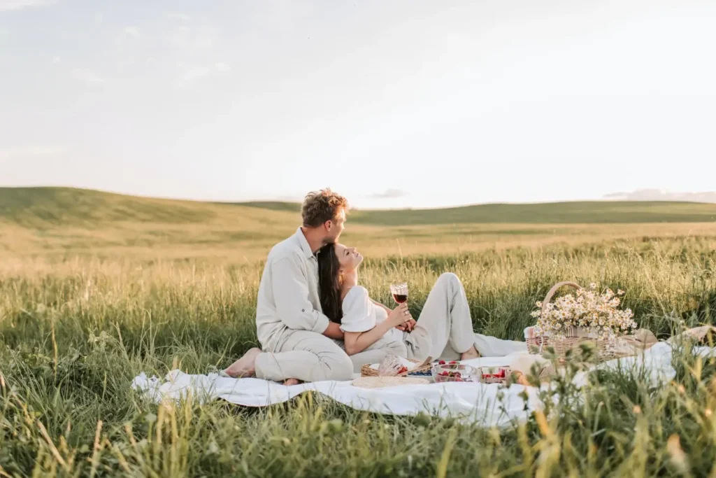 chic picnic blanket