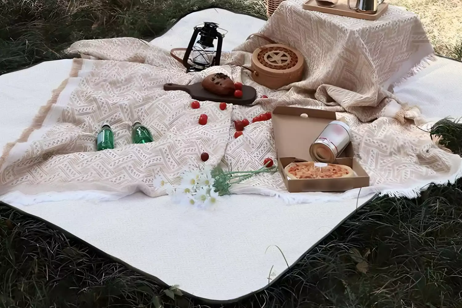 chic picnic blanket