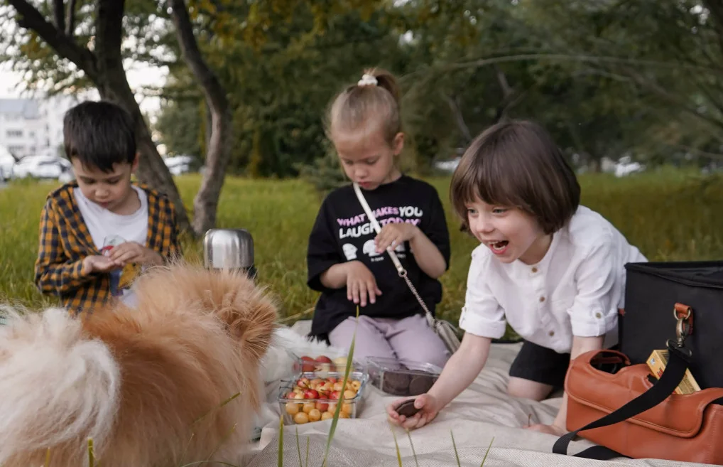 white picnic blanket waterproof